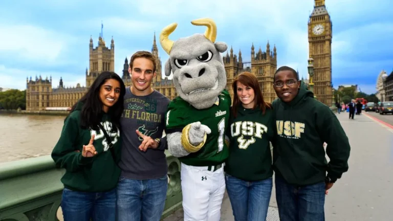 usf financial aid for students
